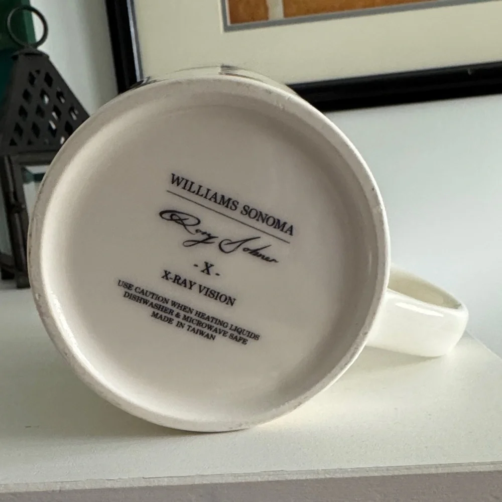 X Ray Vision Williams Rory Dobner Sonoma Oversized Coffee Mug
